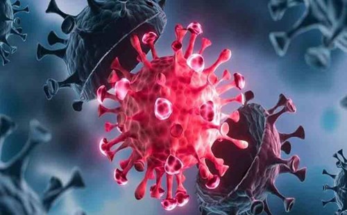 একদিনে ১৩ জনের করোনা শনাক্ত 