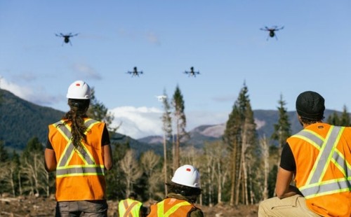 কানাডায় পুনর্বনায়নের জন্য ড্রোন 