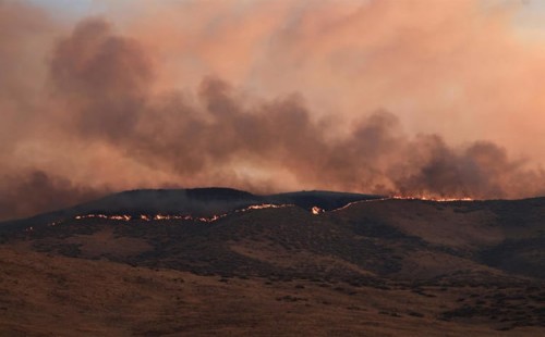 ক্যালিফোর্নিয়ায় ছড়িয়ে পড়ছে দাবানল 