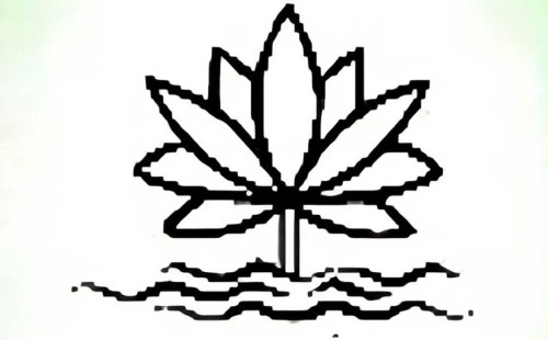 প্রতীক হিসেবে ‘শাপলা’ ব্যবহার না করার সিদ্ধান্ত ইসির 