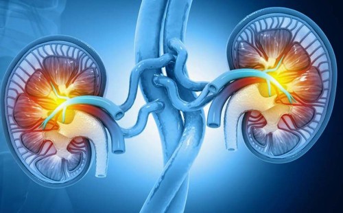 গ্যাসের ব্যথা না কিডনি পাথর, যেভাবে বুঝবেন 