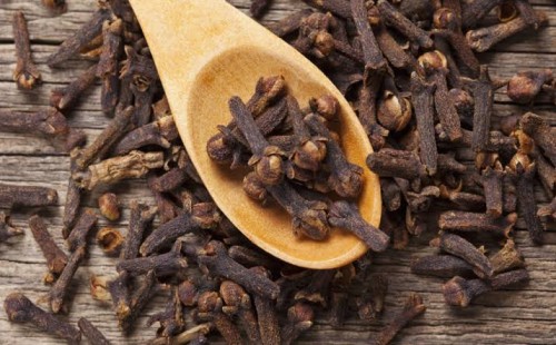 সর্দি-কাশি হলে ভরসা রাখতে পারেন লবঙ্গের ঘরোয়া গুণে 