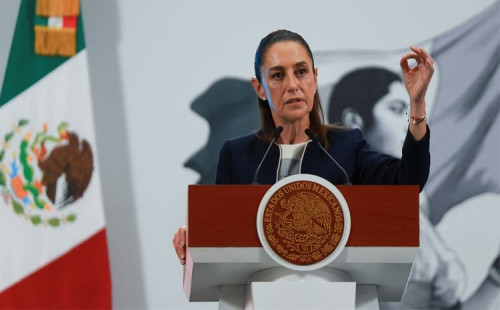 গাজায় মানবিক সংকটের নিন্দায় শেইনবাউম 