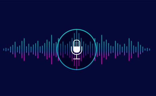 ১ বছরে দেড় লাখ ফোনকল রেকর্ড করে ফাঁস করে আ. লীগ সরকার 