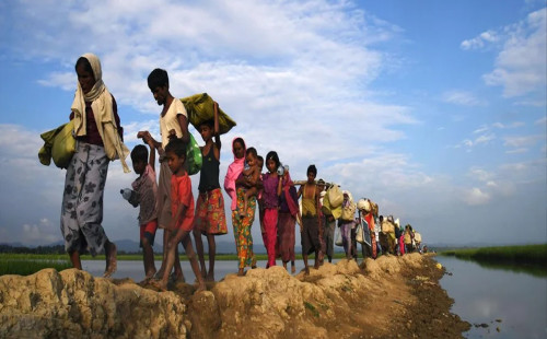 আট বছরেও দেশে ফেরানো যায়নি রোহিঙ্গাদের 