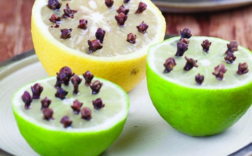 রান্নাঘরে মশা-মাছি তাড়াতে কার্যকর দুইটি মসলা 