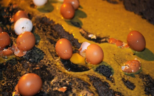 ডিম নিক্ষেপ শুধু অপমানই নয়, এক রাজনৈতিক বার্তাও 