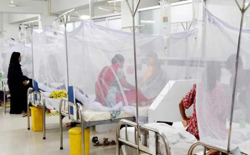 ডেঙ্গুতে একদিনে ঢাকায় ৪ জনের মৃত্যু 