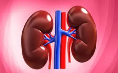 কিডনির ক্ষতি করতে পারে যেসব সাধারণ অভ্যাস 