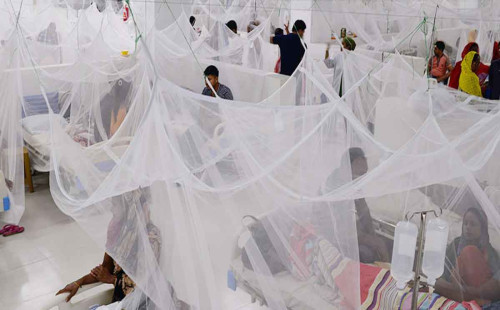 ডেঙ্গুতে আরও ১০ জনের মৃত্যু 