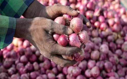 হঠাৎ পেঁয়াজের দাম বাড়ছে! 