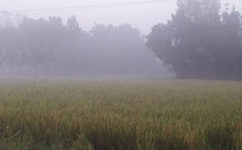 ১২ ডিগ্রিতে নামল পঞ্চগড়ের তাপমাত্রা 