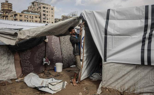 গাজায় ফেরত আরও ১৫ ফিলিস্তিন মরদেহ 