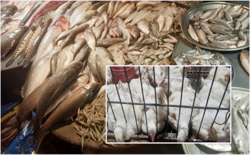 এক সপ্তাহে ব্রয়লারের দাম বাড়ল ২০ টাকা, মাঝারি ইলিশের কেজি ১,৫০০ 