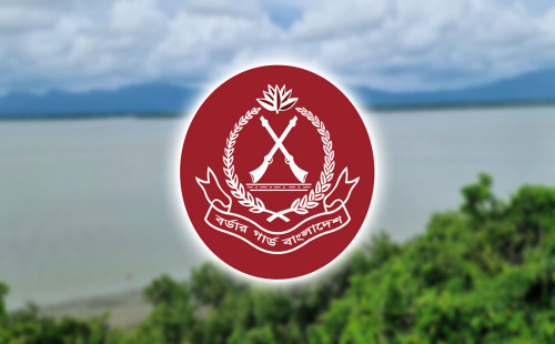 বিজিবির অভিযানে ১৬৮ কোটি টাকার চোরাচালান জব্দ 