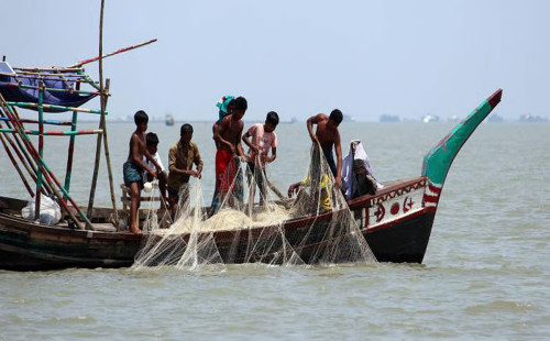 পদ্মা-মেঘনায় দুই মাস ইলিশ ধরা নিষেধ 